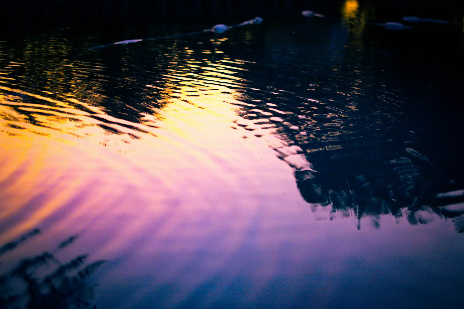 Abstract purple and amber light reflected on rippling dark water
